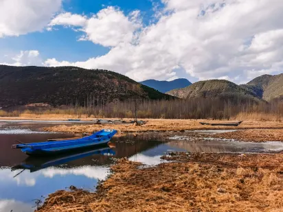 Casilando Casino Aplicación móvil